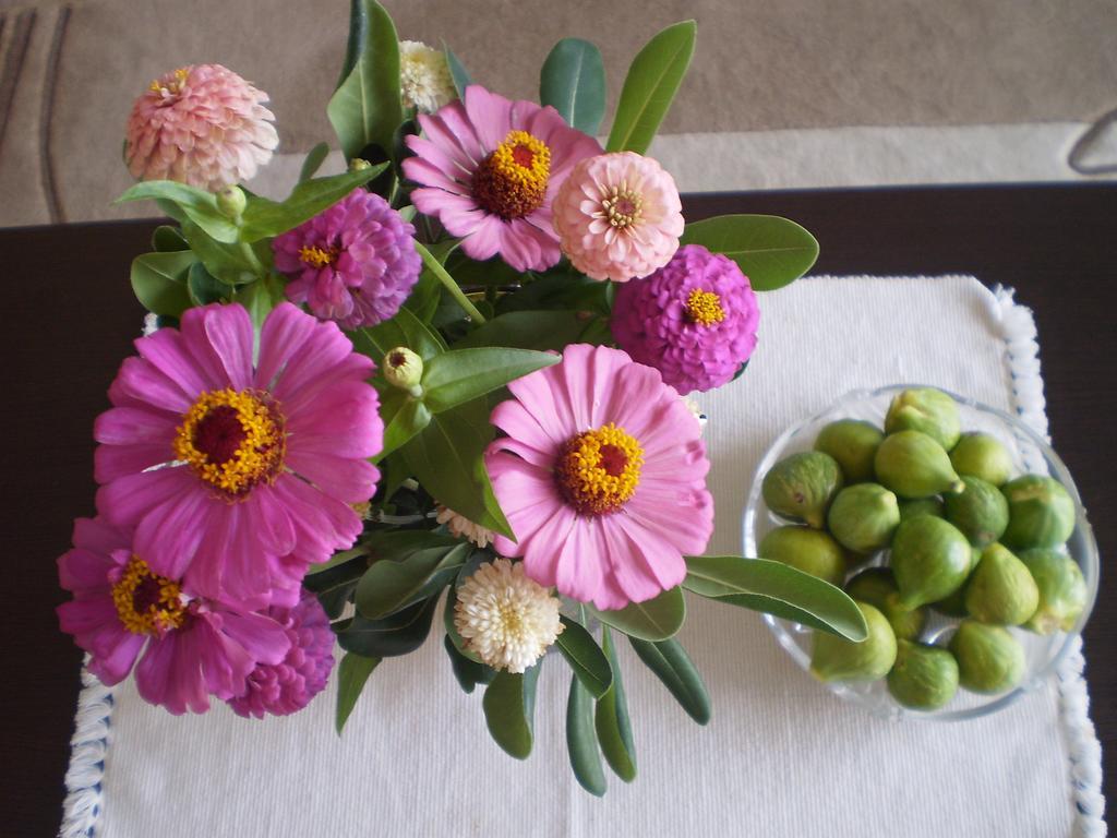 אולסינץ' Apartment Vuk I Novak חדר תמונה