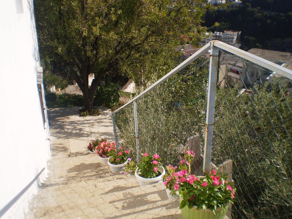 אולסינץ' Apartment Vuk I Novak מראה חיצוני תמונה