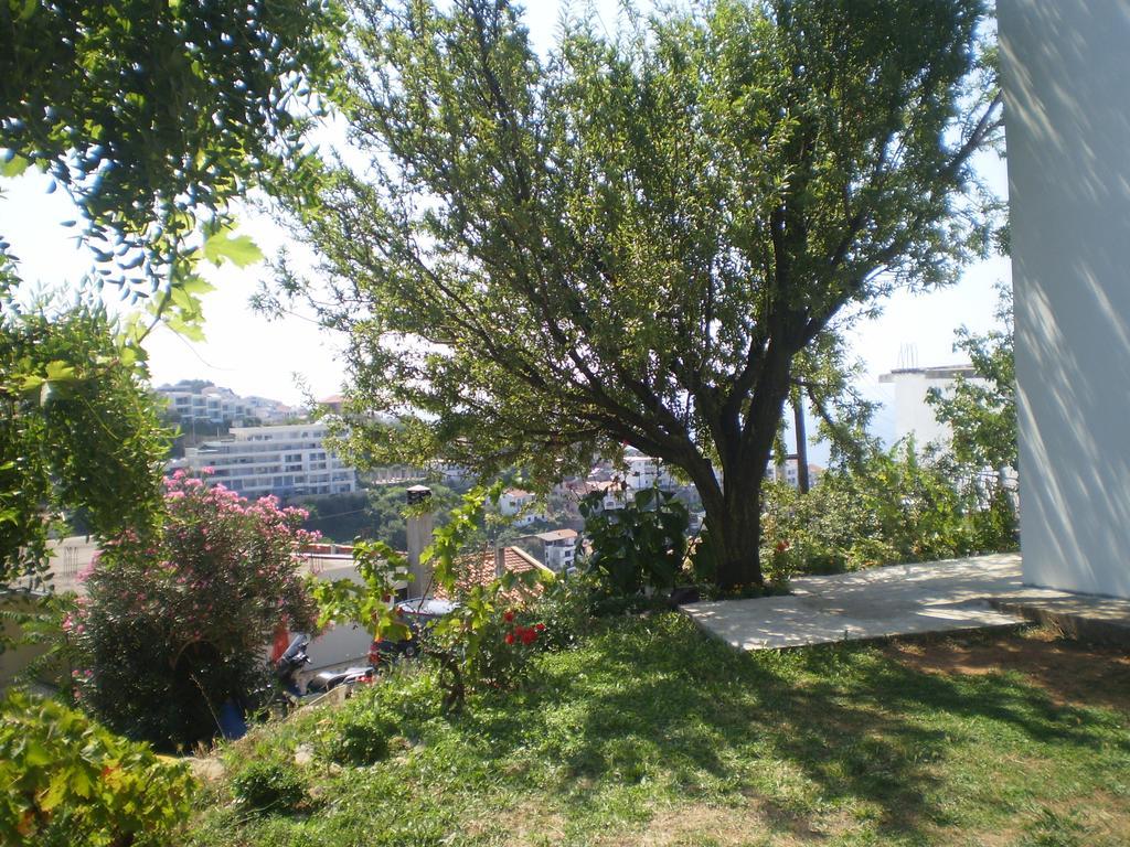 אולסינץ' Apartment Vuk I Novak מראה חיצוני תמונה